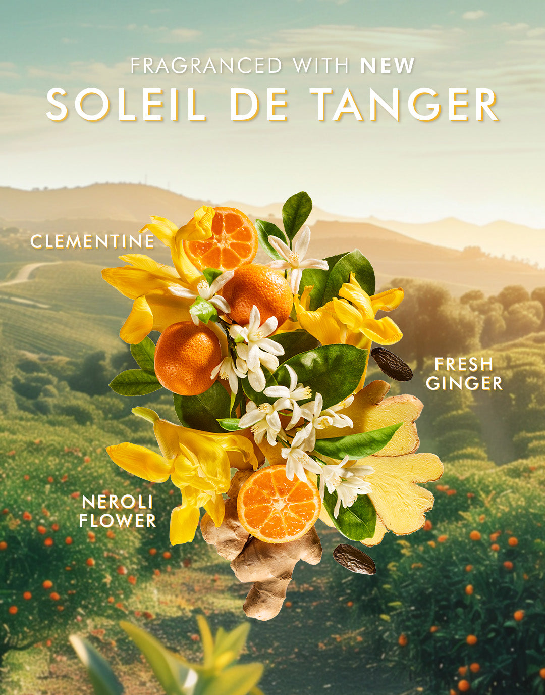 Hand Wash Soleil de Tanger - Image 4